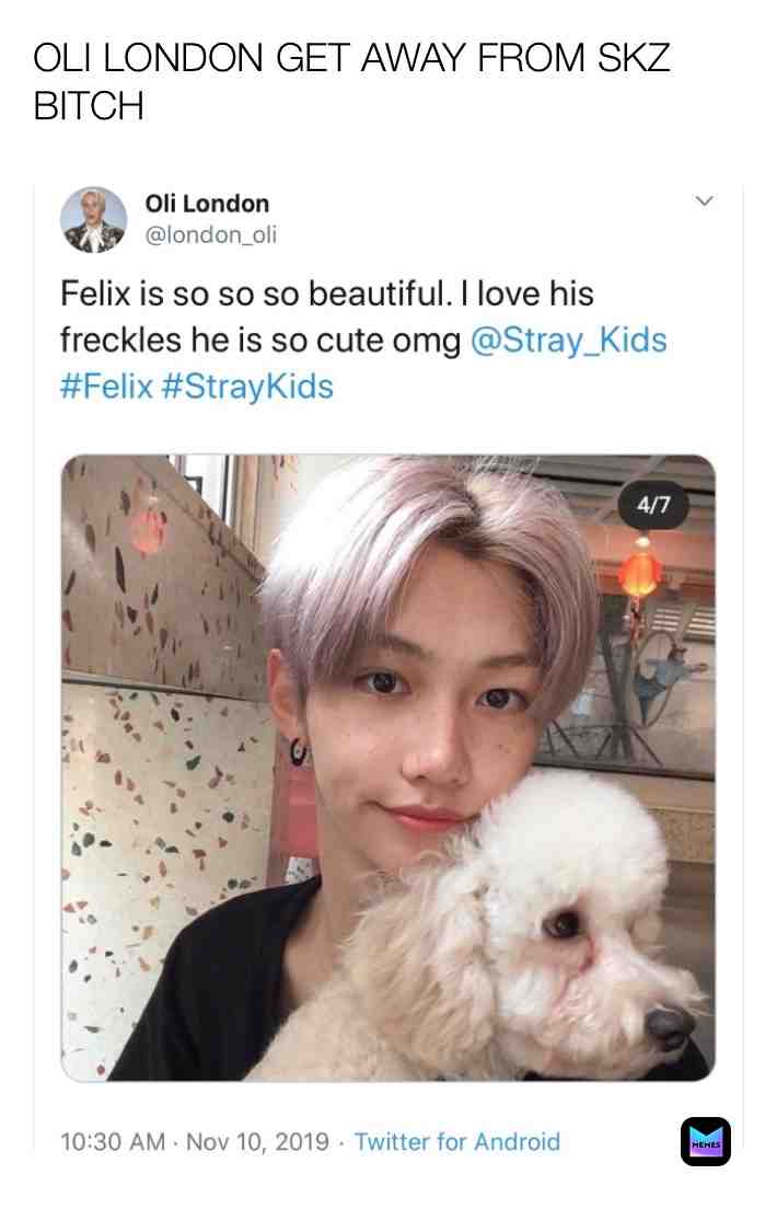 #kpop #straykids #olilondon