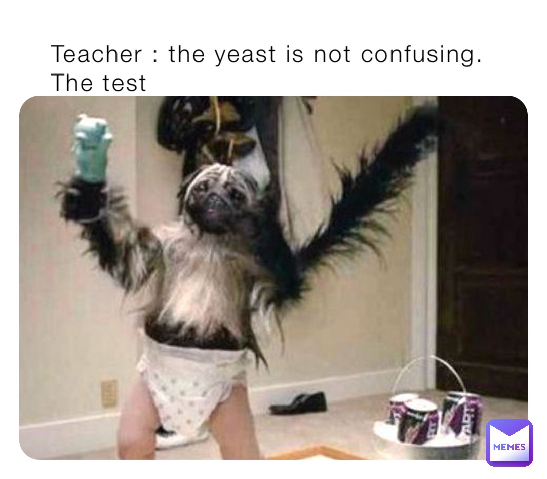 Teacher : the yeast is not confusing.
The test