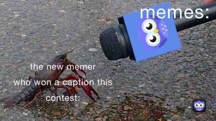 Meme shared by @Child_of_E