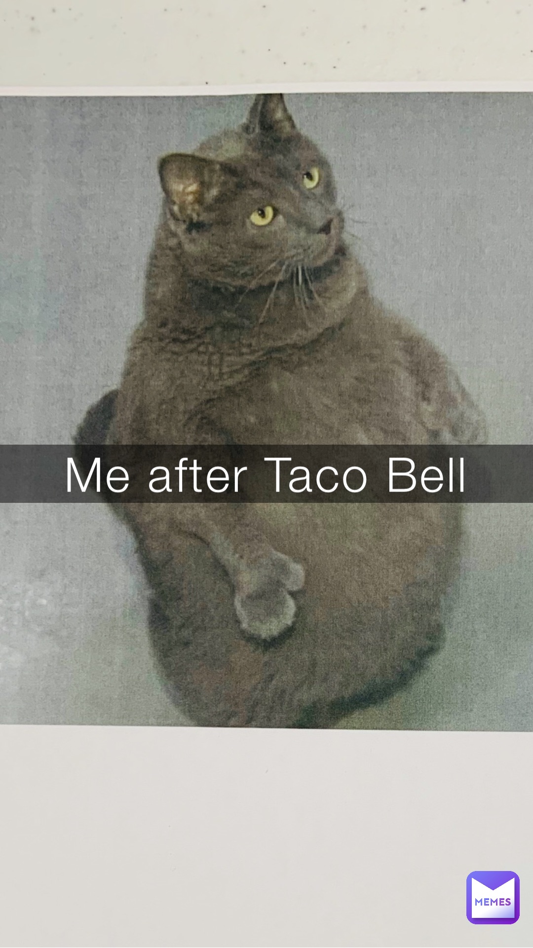 Me after Taco Bell