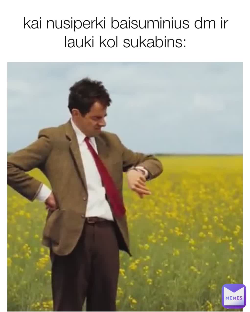 kai nusiperki baisuminius dm ir lauki kol sukabins: