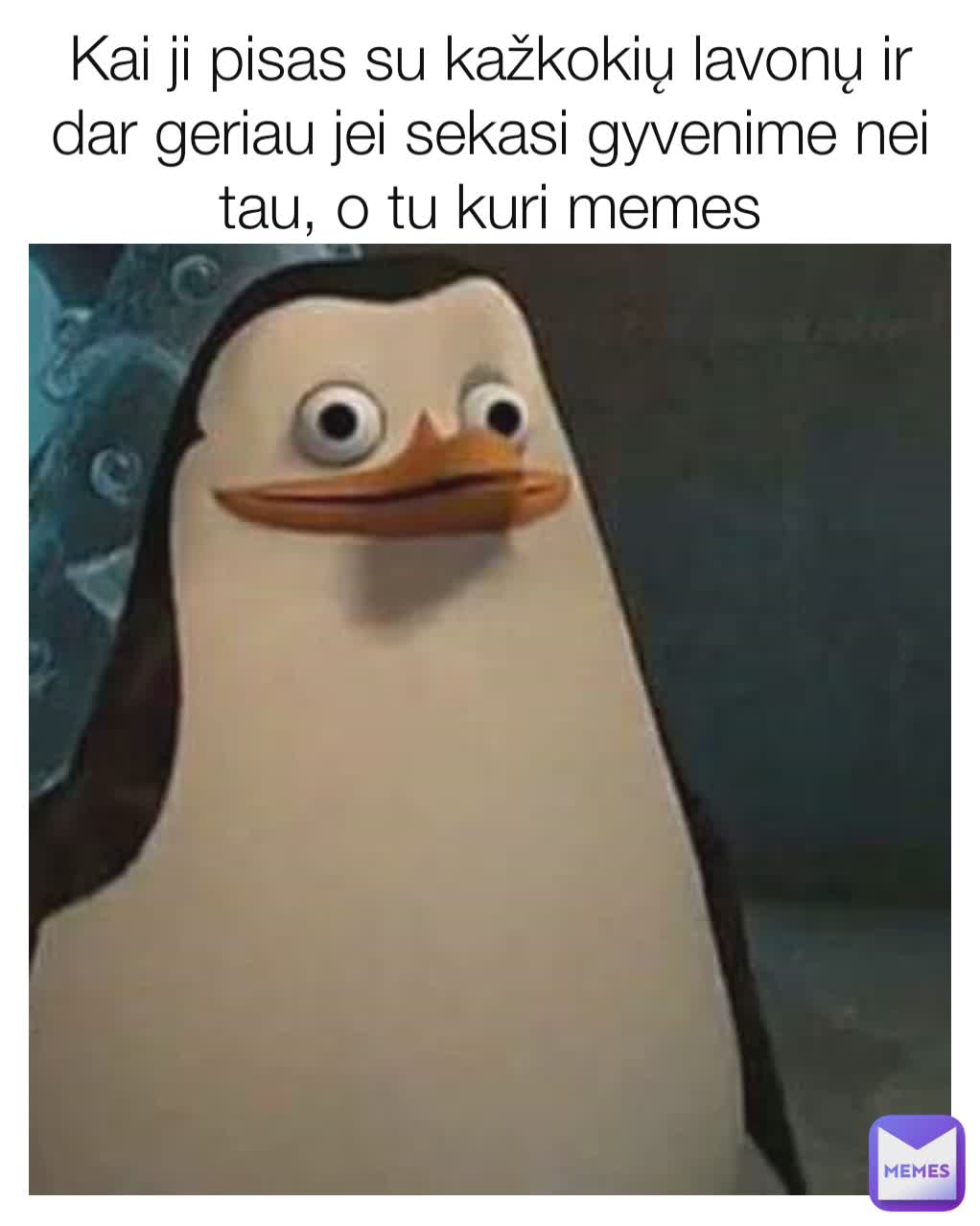 Kai ji pisas su kažkokių lavonų ir dar geriau jei sekasi gyvenime nei tau, o tu kuri memes