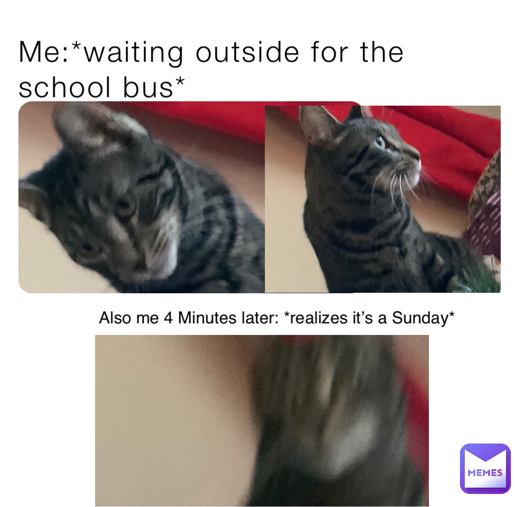 Meme by 2_cats_and_memes