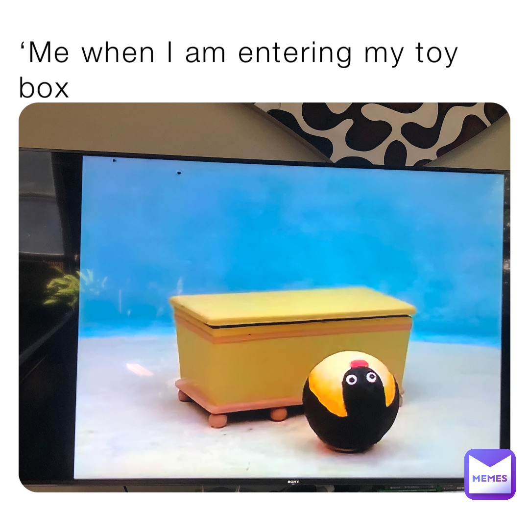 ‘Me when I am entering my toy box