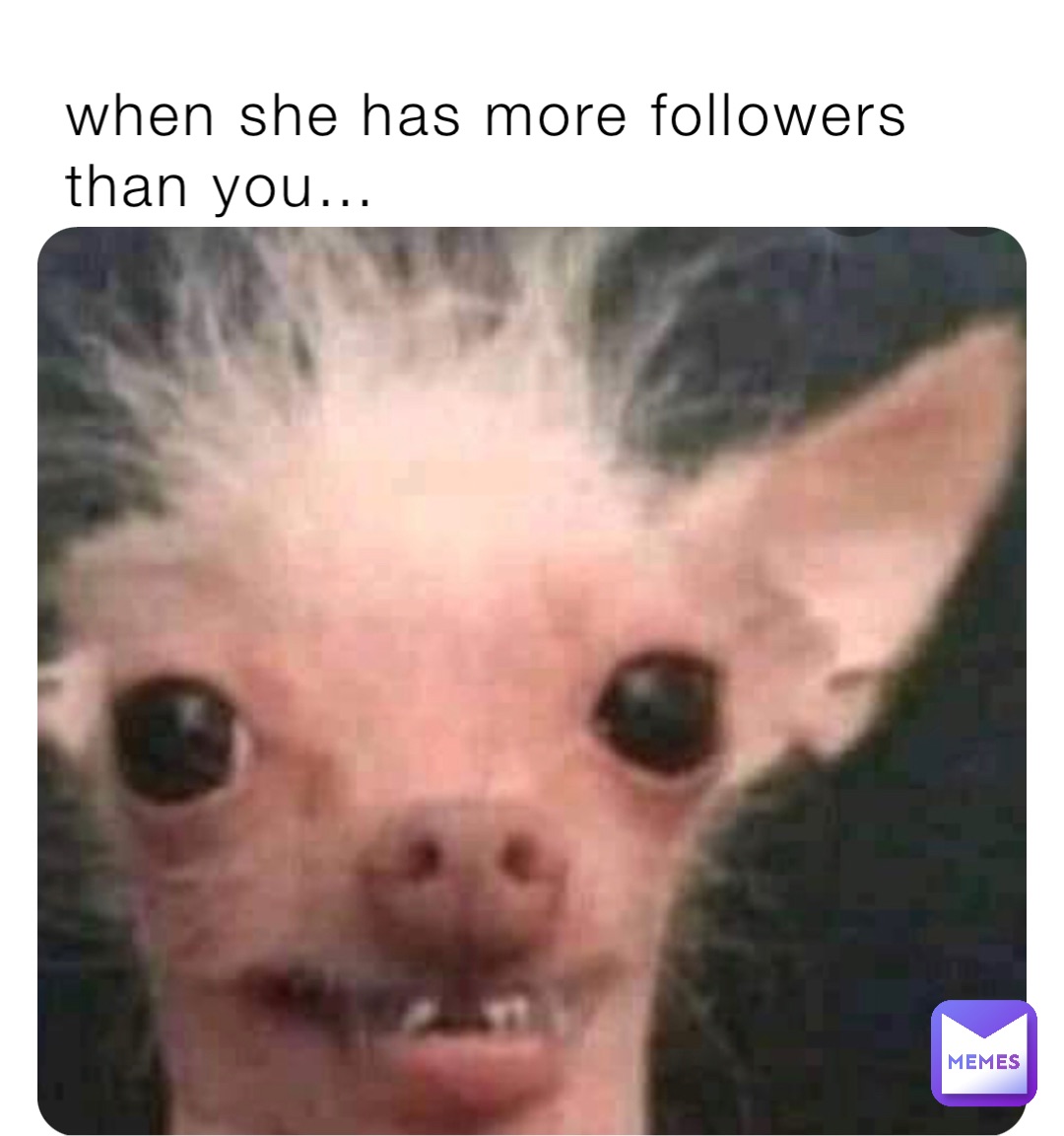 Meme by cssswimmer111