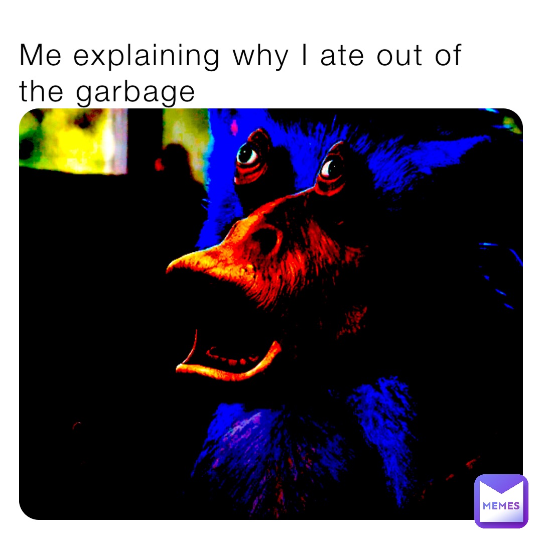 Me explaining why I ate out of the garbage