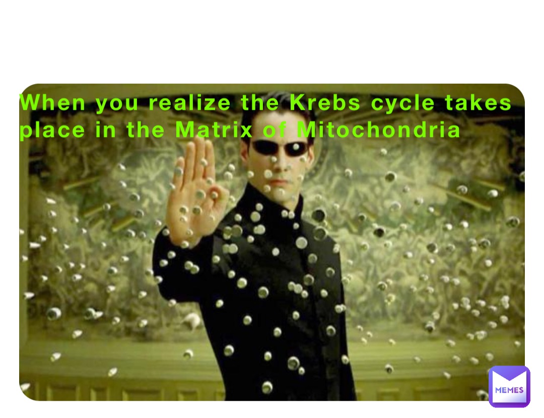 When you realize the Krebs cycle takes place in the Matrix of Mitochondria