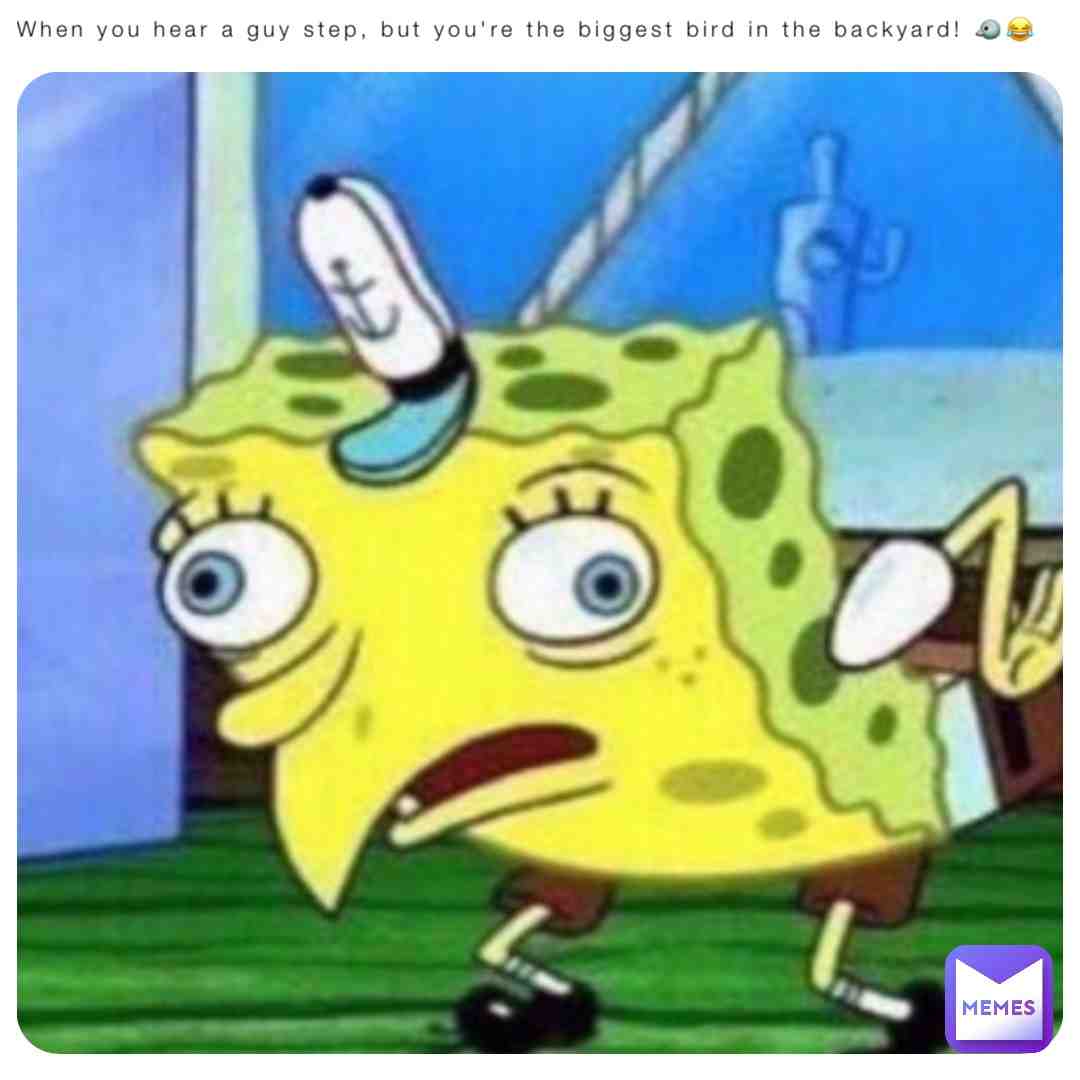 Meme shared by @6zr9mdwzp2