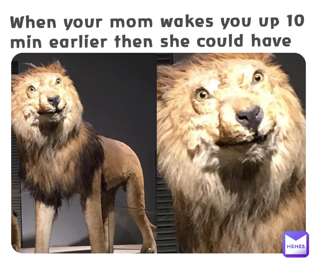 Meme by Bella_meme_wing