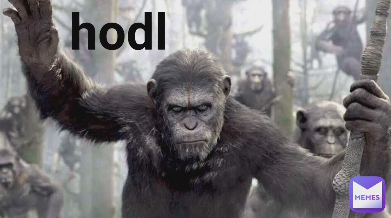 hodl