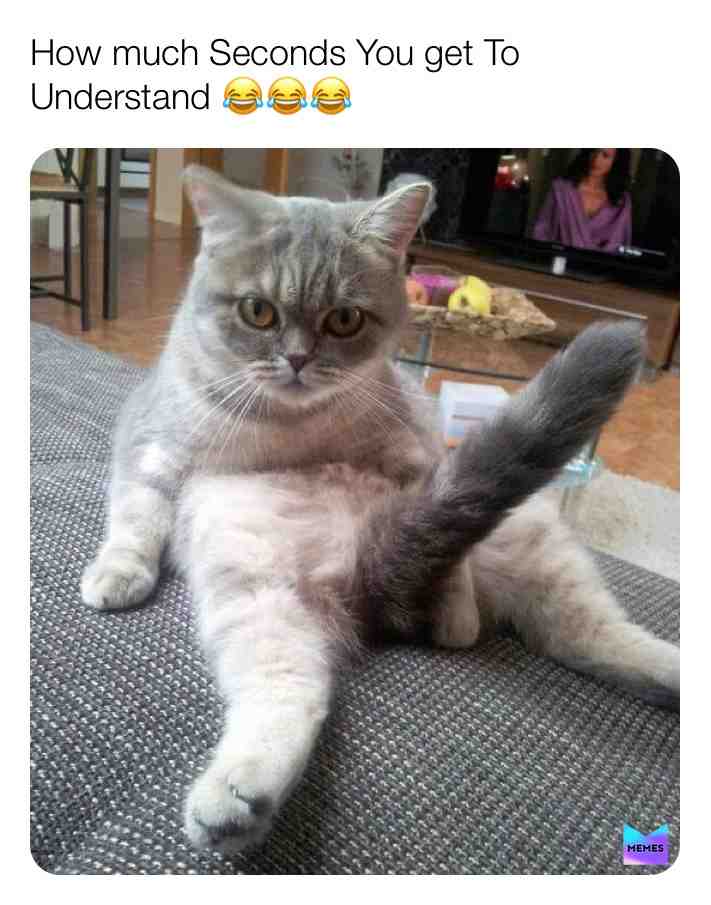 Meme preview