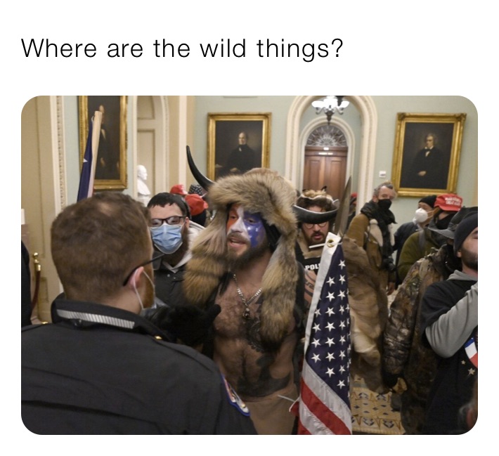 Where are the wild things?