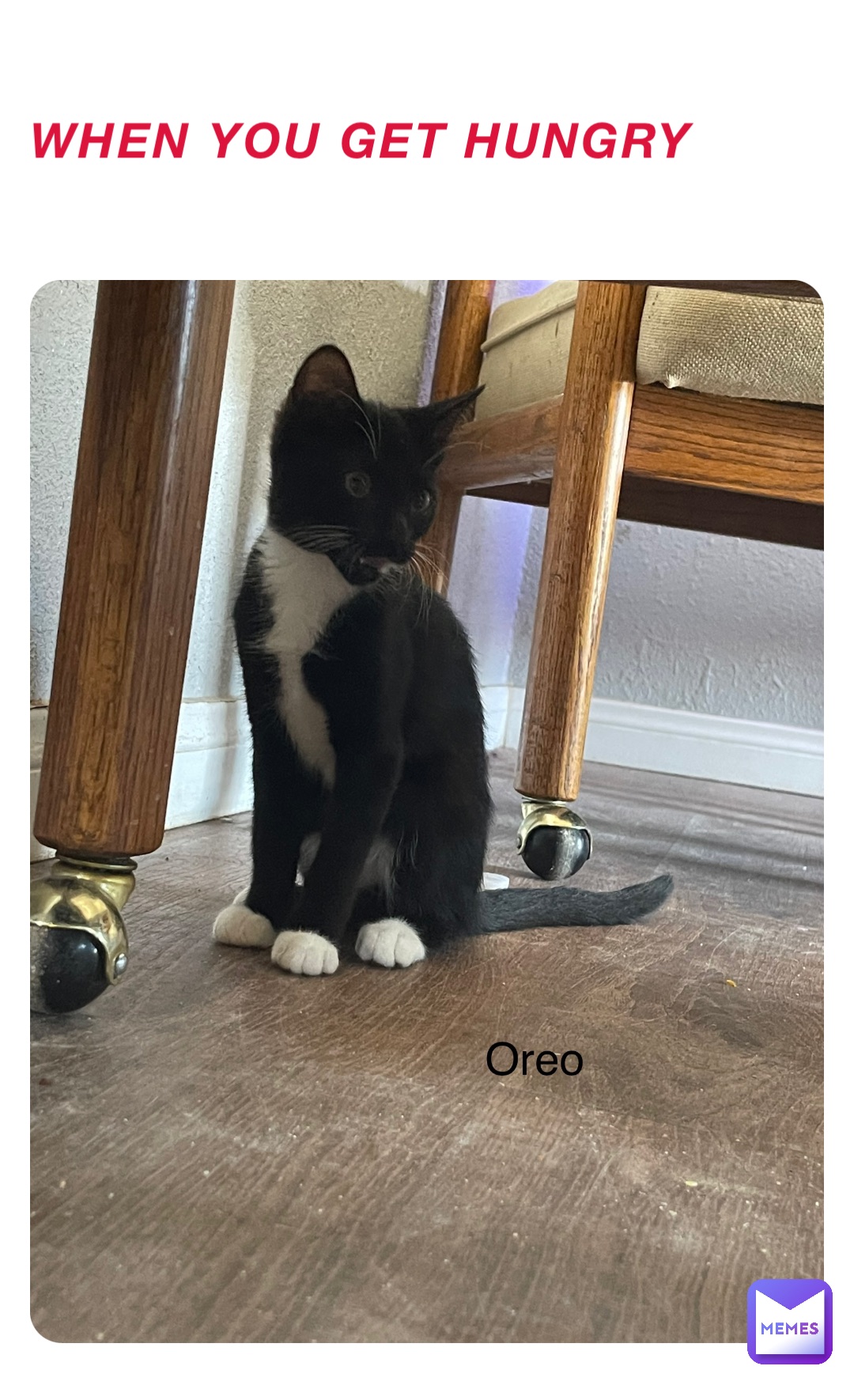 Meme by Jessie_poppy