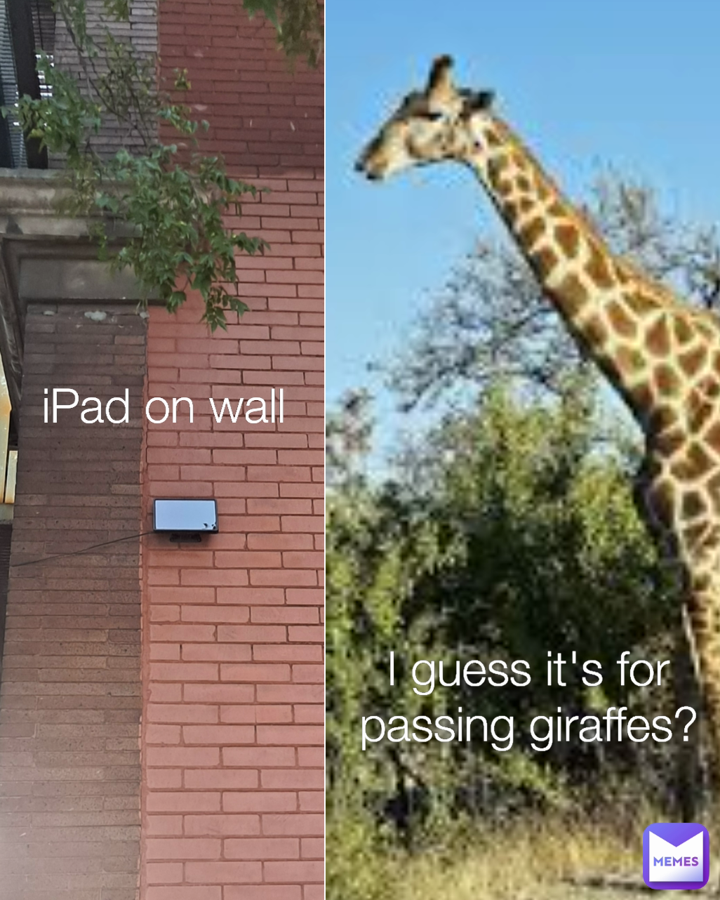 I guess it's for passing giraffes? iPad on wall Type Text