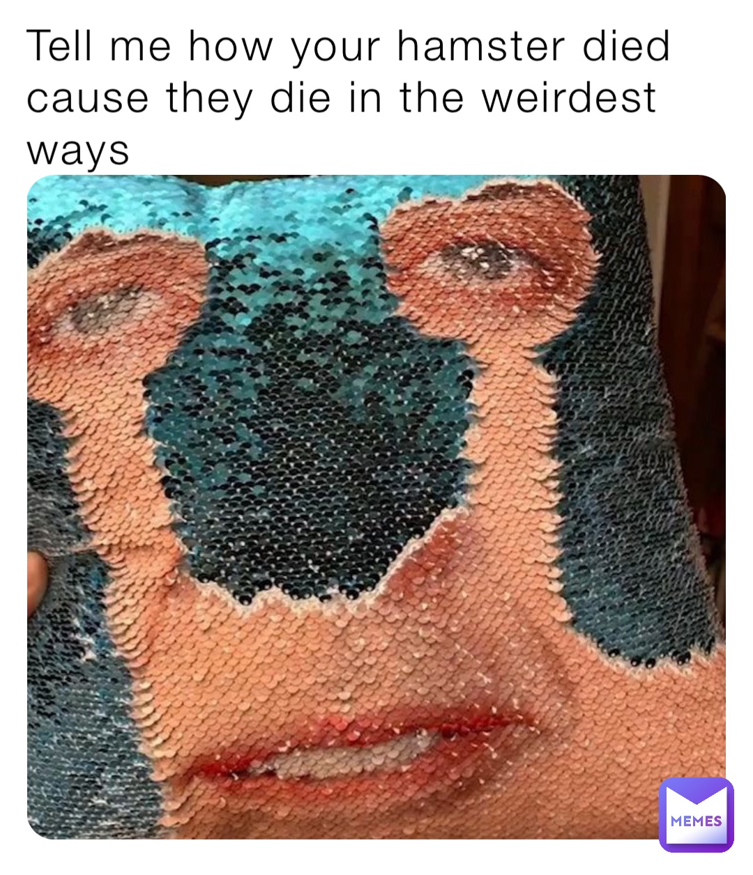 Tell me how your hamster died cause they die in the weirdest ways