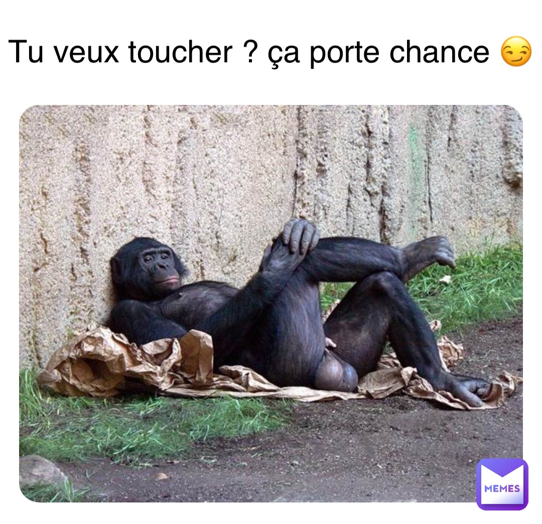 Double tap to edit Tu veux toucher ? ça porte chance 😏