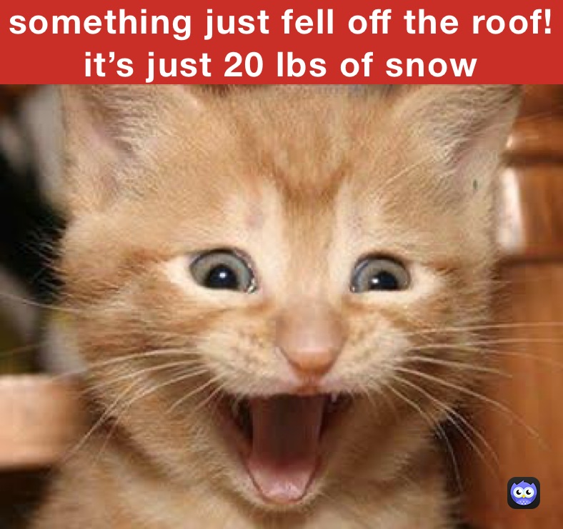 something just fell off the roof!
it’s just 20 lbs of snow
