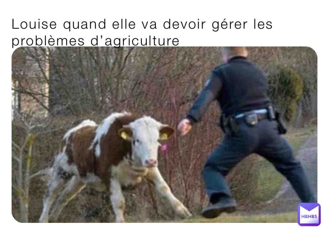 Meme preview