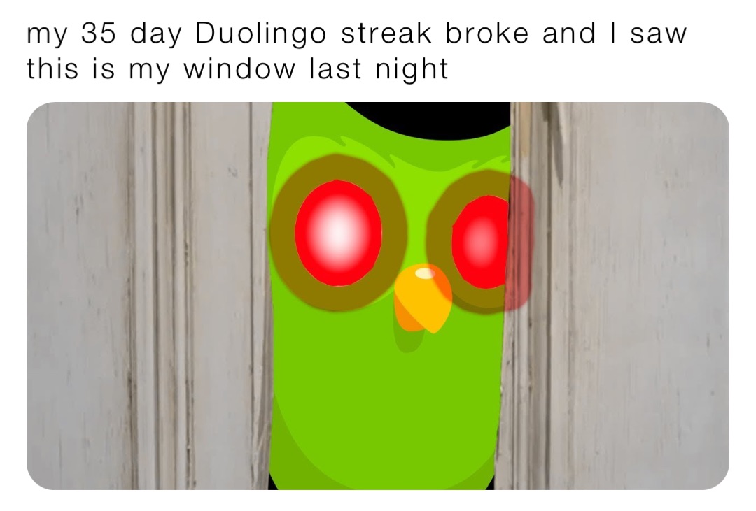 my 35 day Duolingo streak broke and I saw this is my window last night