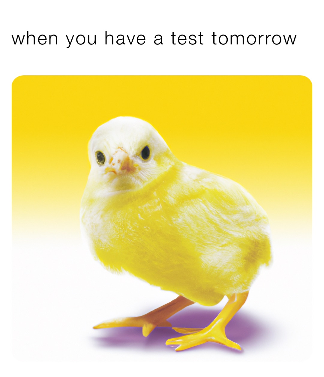 when you have a test tomorrow