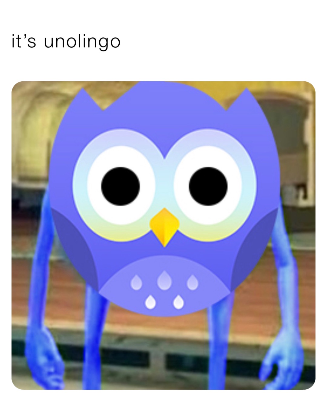 it’s unolingo