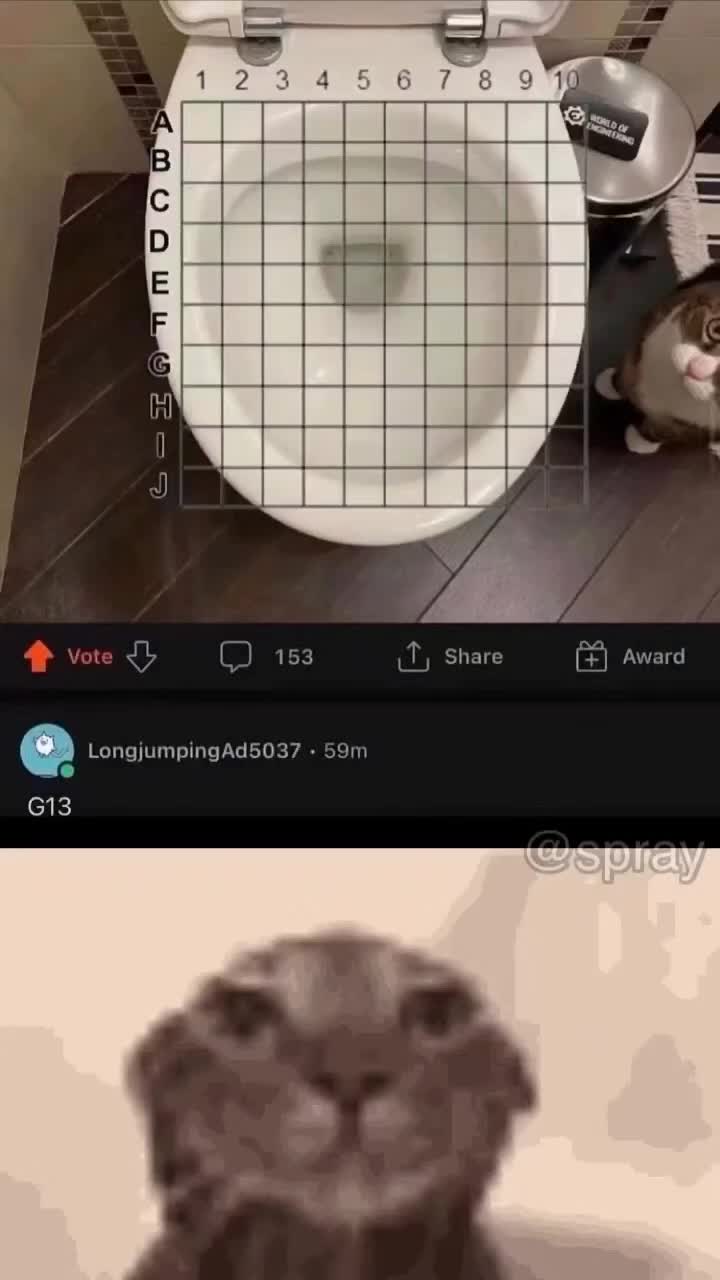 Meme preview
