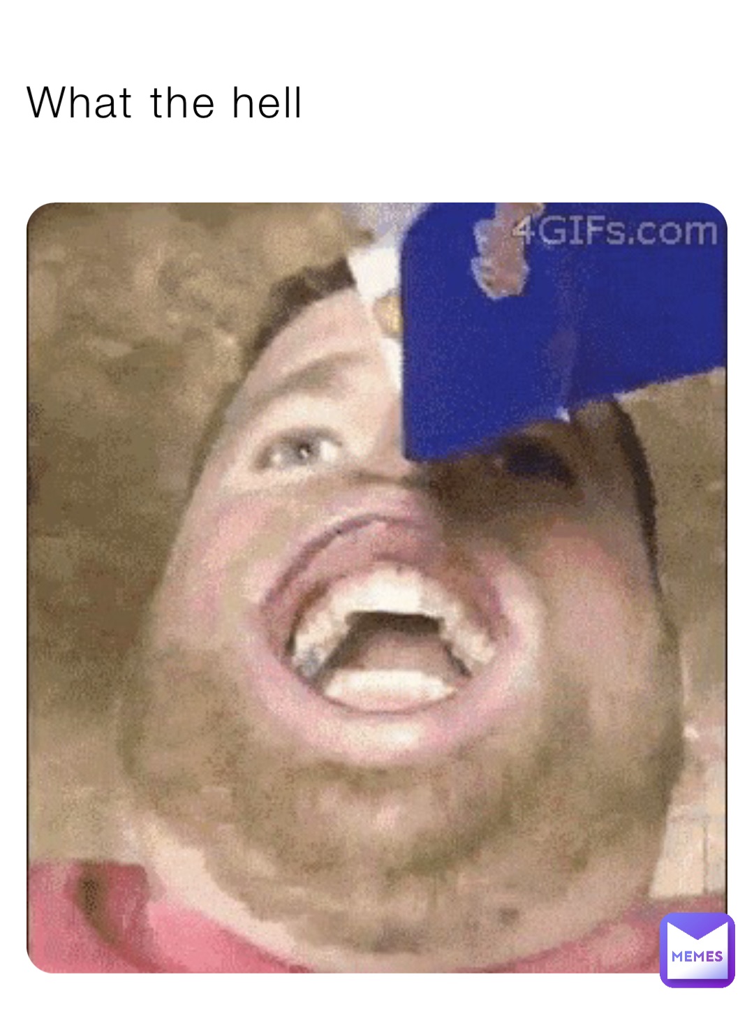 What the hell