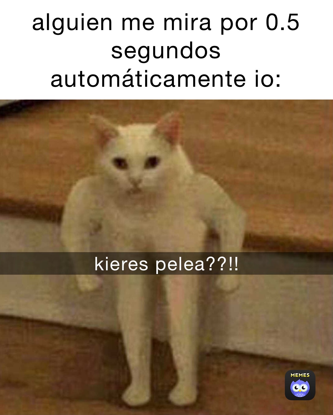 alguien me mira por 0.5 segundos
automáticamente io: kieres pelea??!! kieres pelea??!!