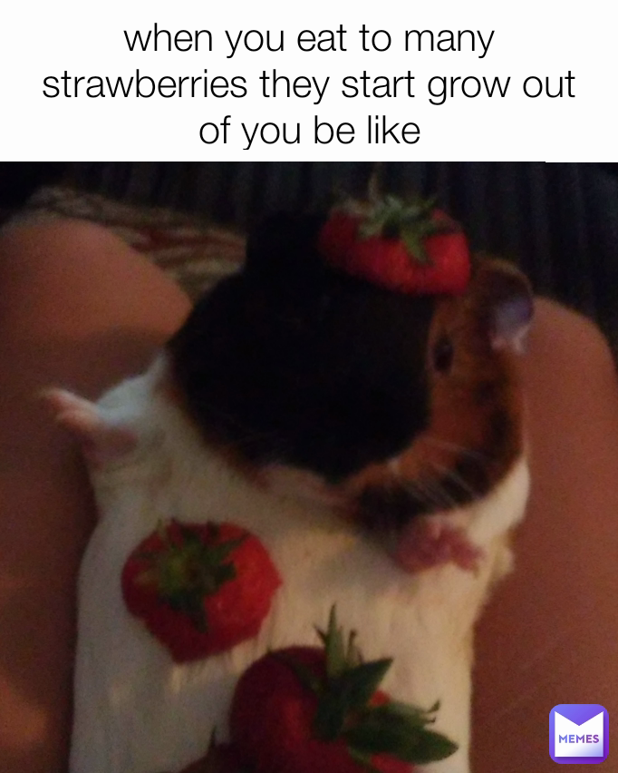 when-you-eat-to-many-strawberries-they-start-grow-out-of-you-be-like