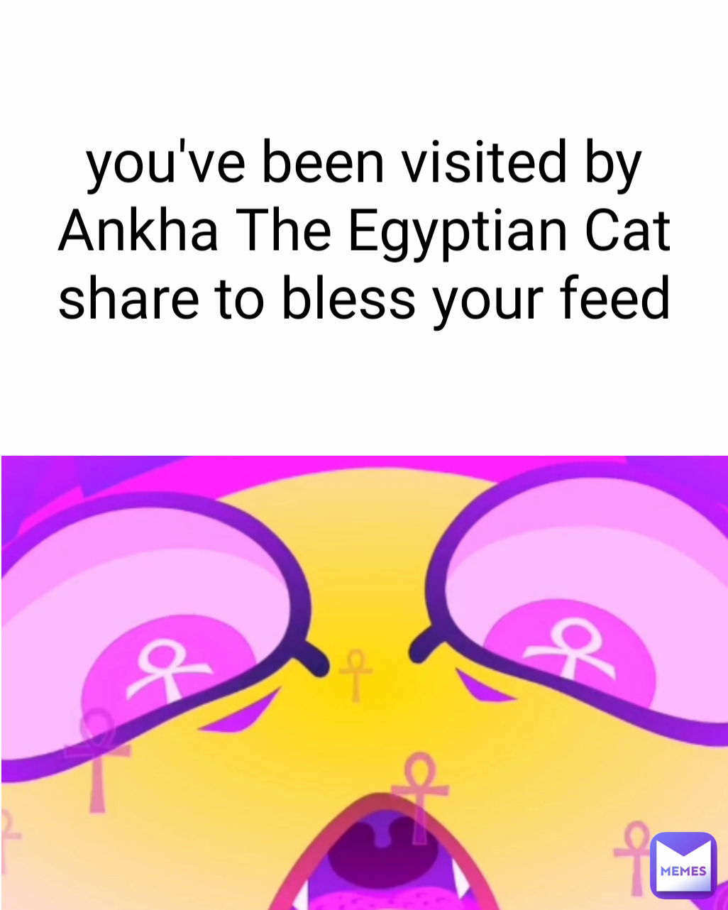 you've been visited by Ankha The Egyptian Cat
share to bless your feed