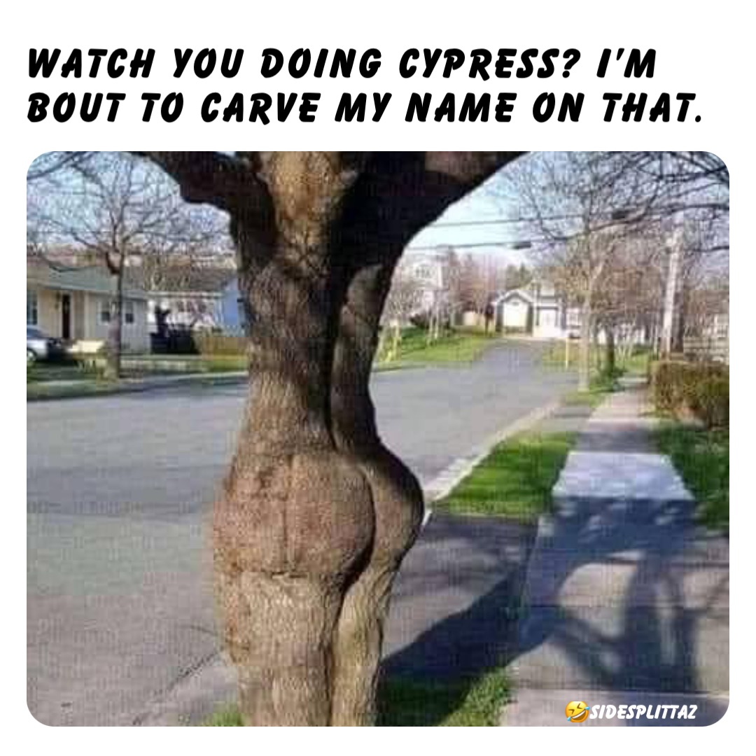 Watch you doing Cypress? I’m bout to carve my name on that. 🤣SIDESPLITTAZ