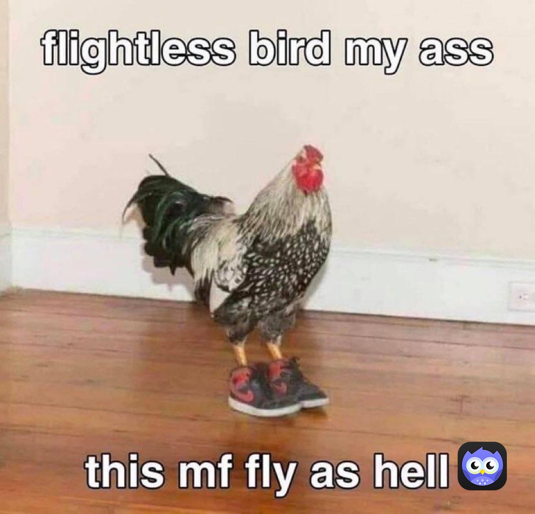 Meme by jojokes_fortheteam