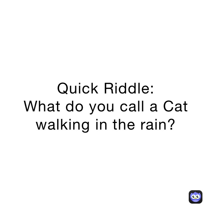 Quick Riddle: 
What do you call a Cat 
walking in the rain?