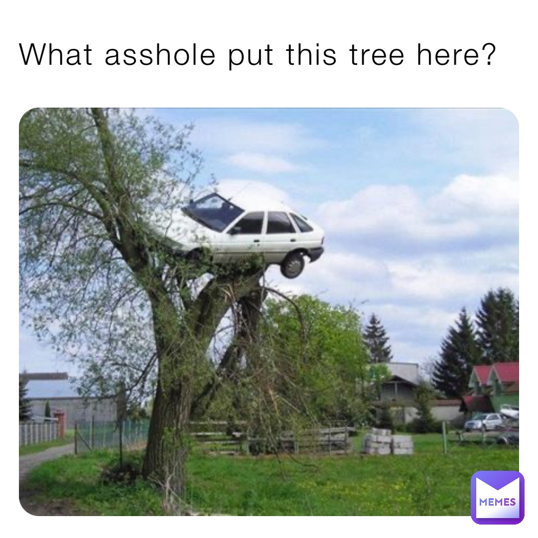 What asshole put this tree here?
