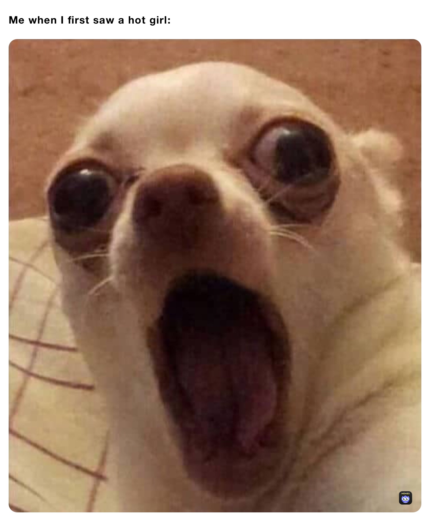 Me when I first saw a hot girl: