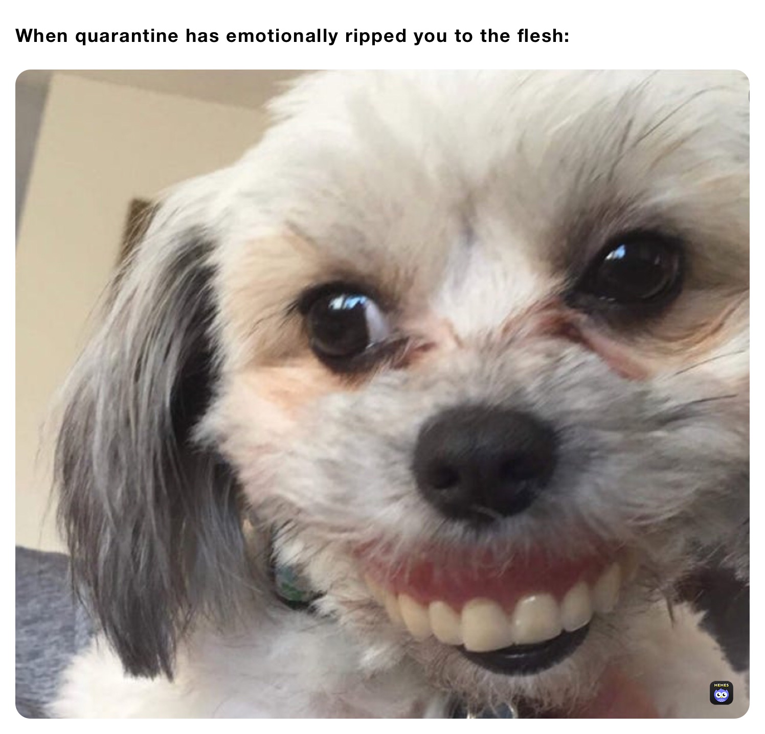 When quarantine has emotionally ripped you to the flesh: