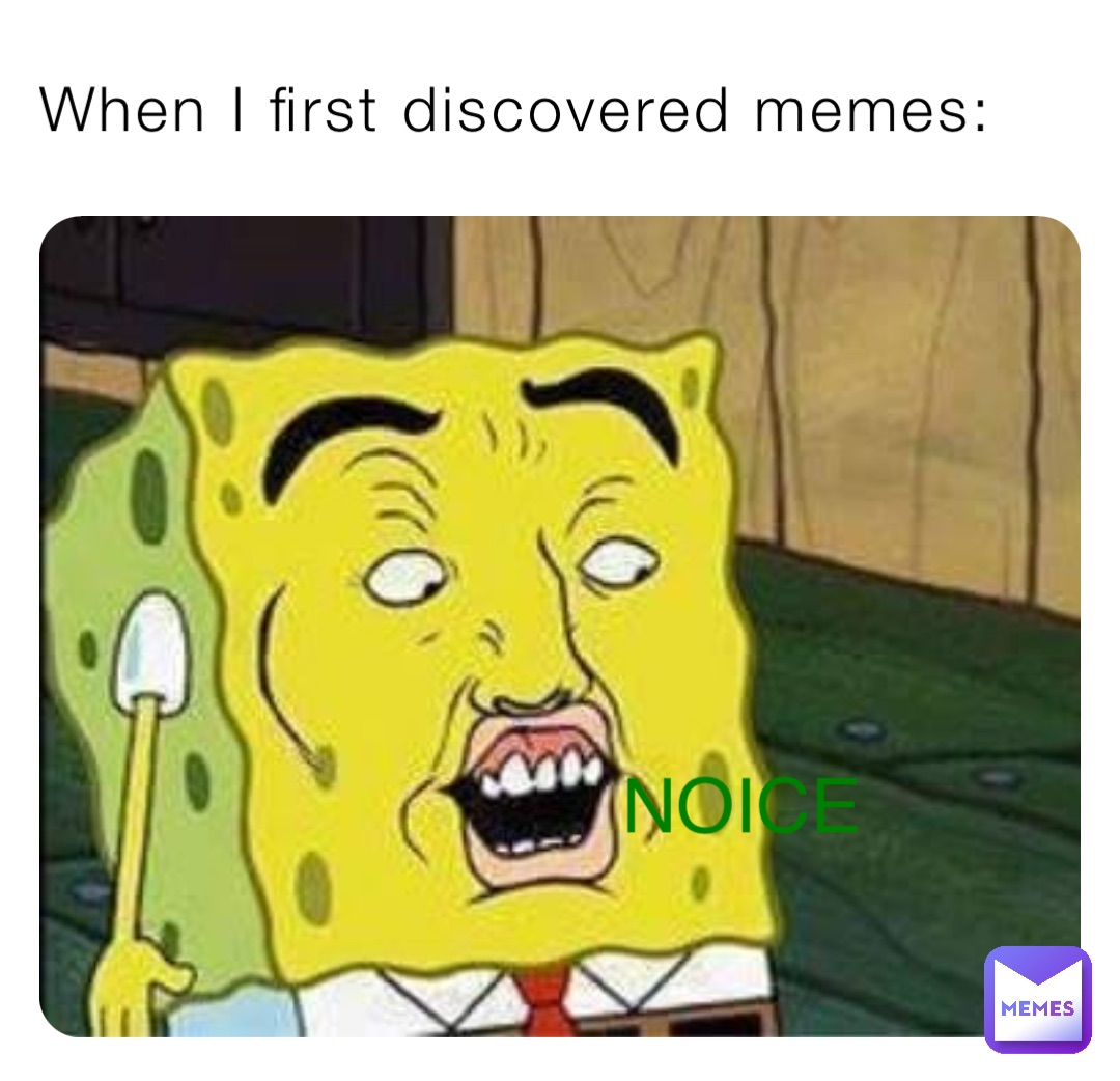 When I first discovered memes: NOICE