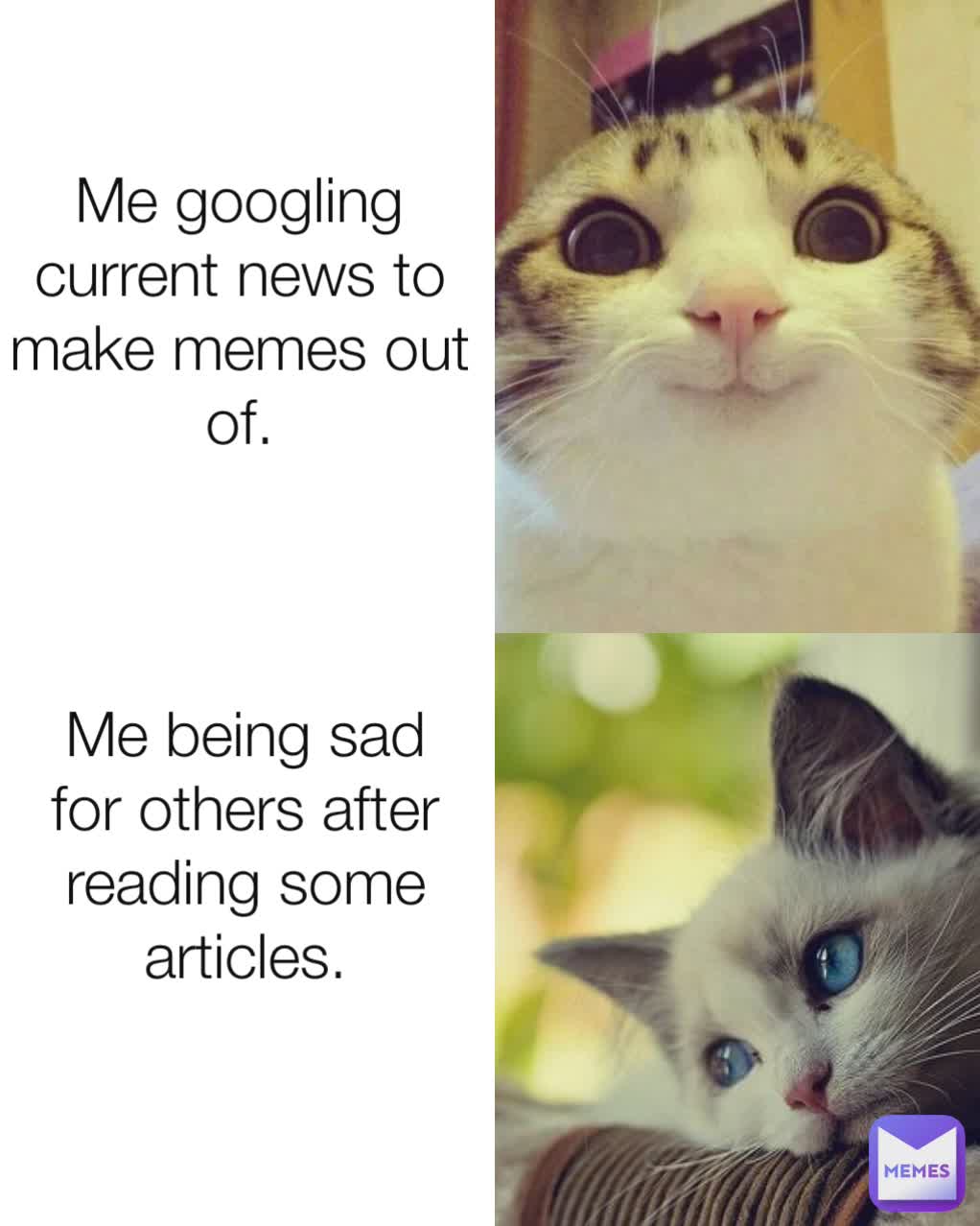 Meme by ConfidentCursive