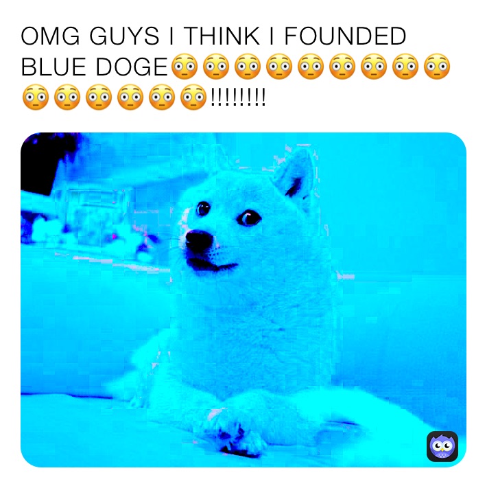 OMG GUYS I THINK I FOUNDED BLUE DOGE😳😳😳😳😳😳😳😳😳😳😳😳😳😳😳!!!!!!!!