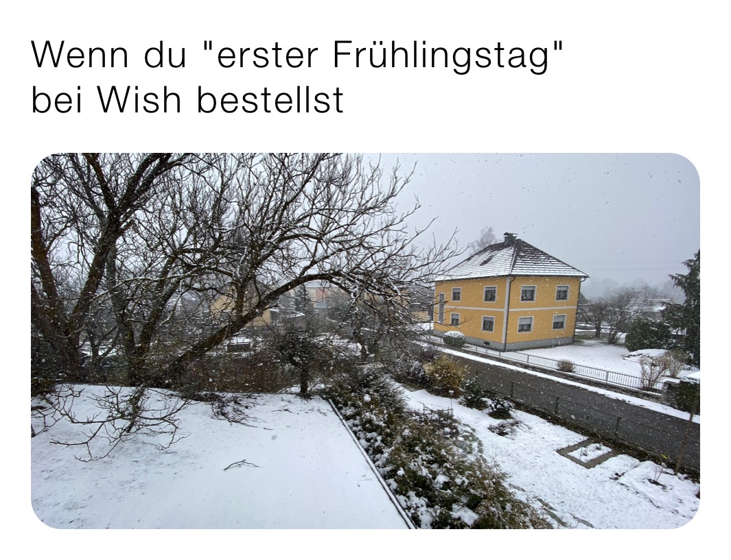 Wenn du "erster Frühlingstag"
bei Wish bestellst