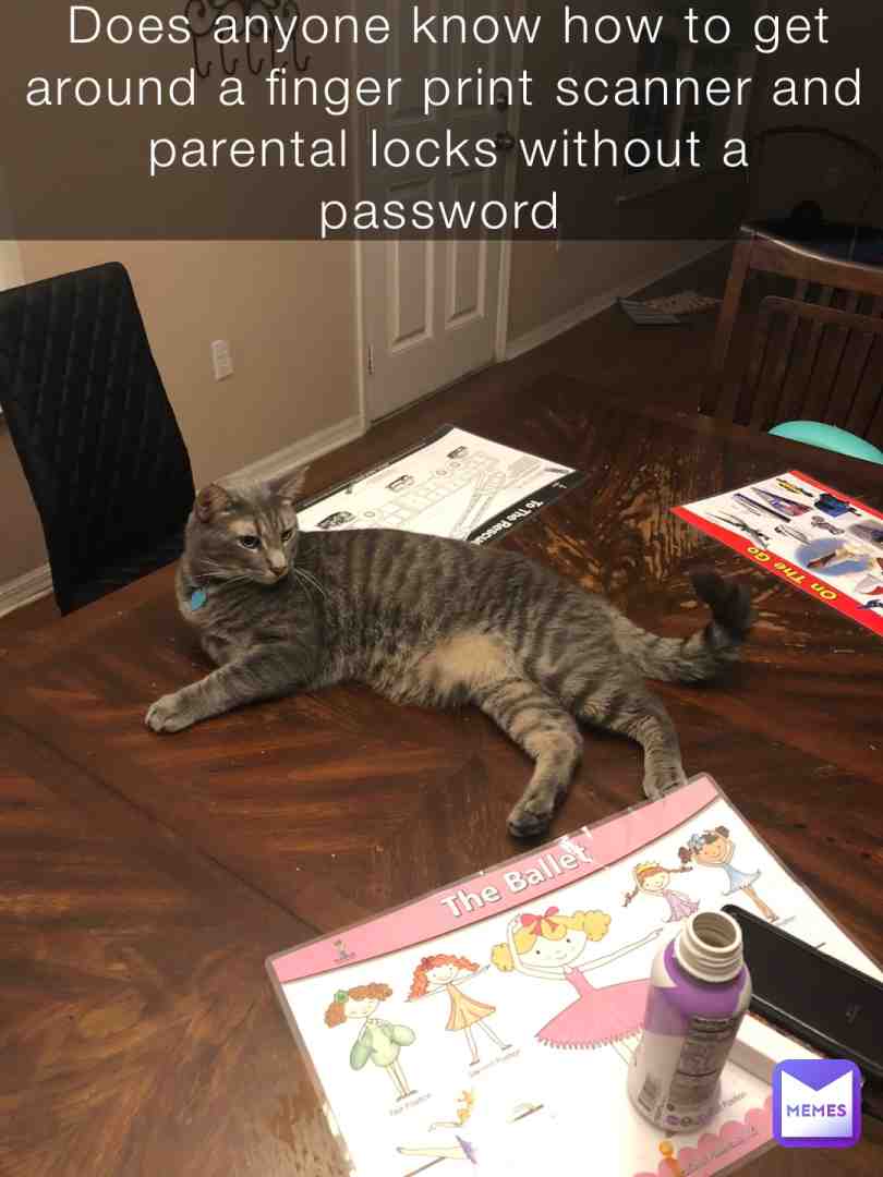 Does anyone know how to get around a finger print scanner and parental locks without a password?