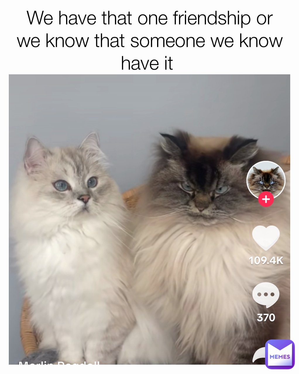 Meme by rukiye-vural