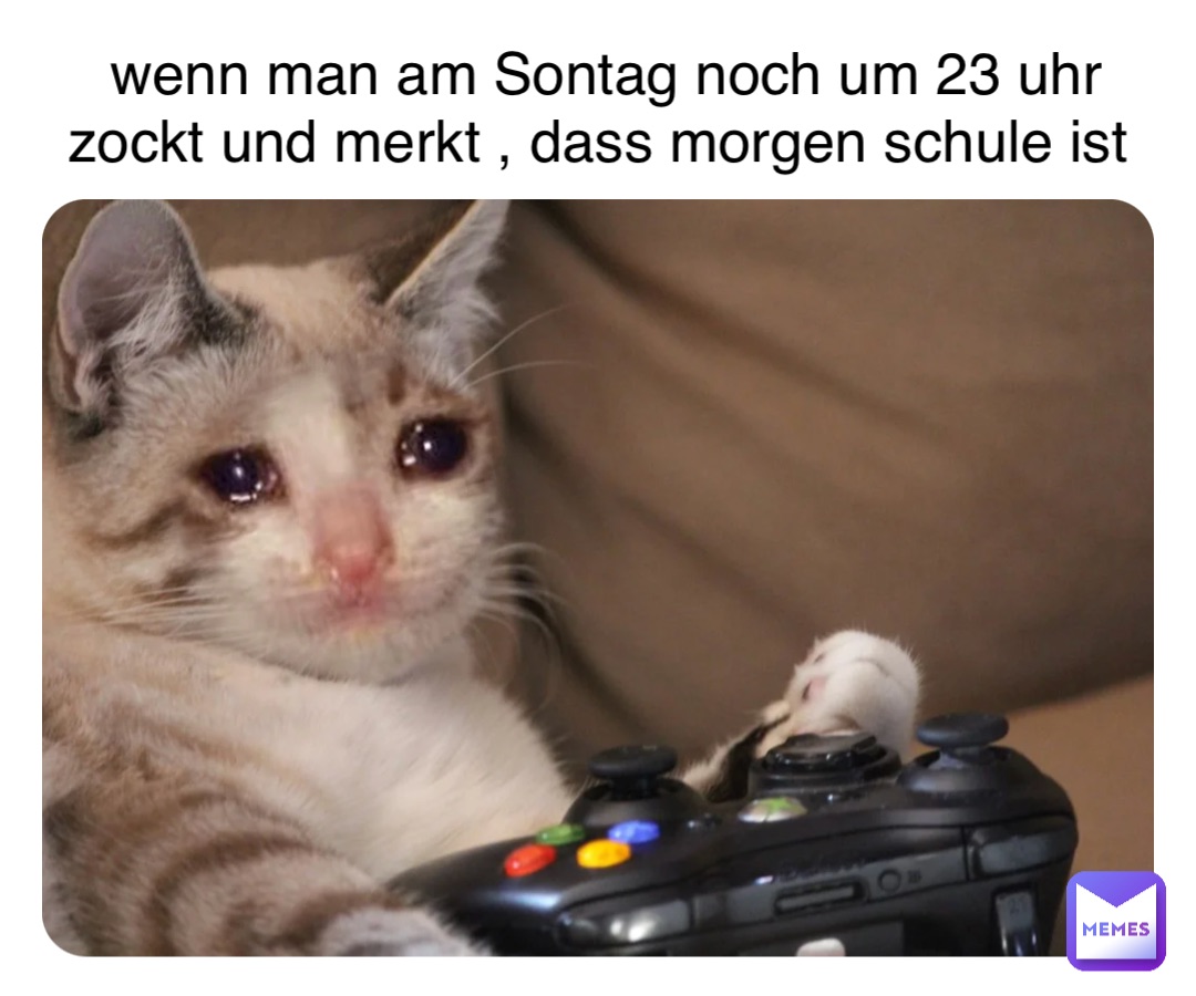 wenn man am Sontag noch um 23 uhr zockt und merkt , dass morgen schule ist