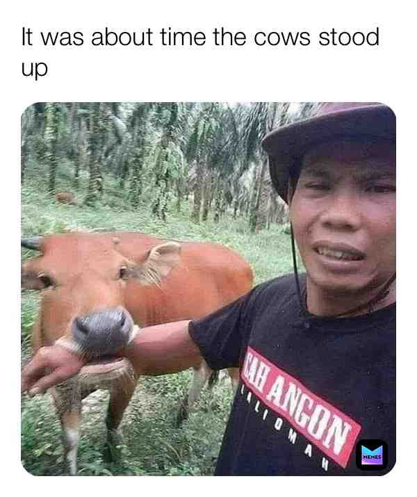 Meme shared by @GuyInTheCoffin