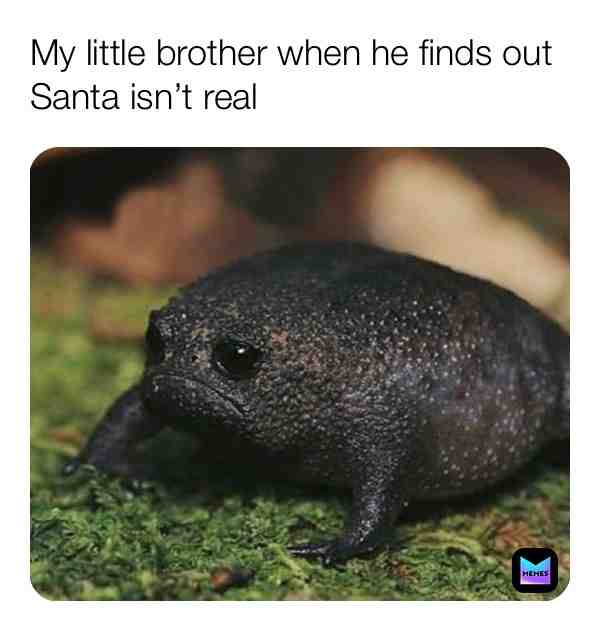 Meme shared by @GuyInTheCoffin