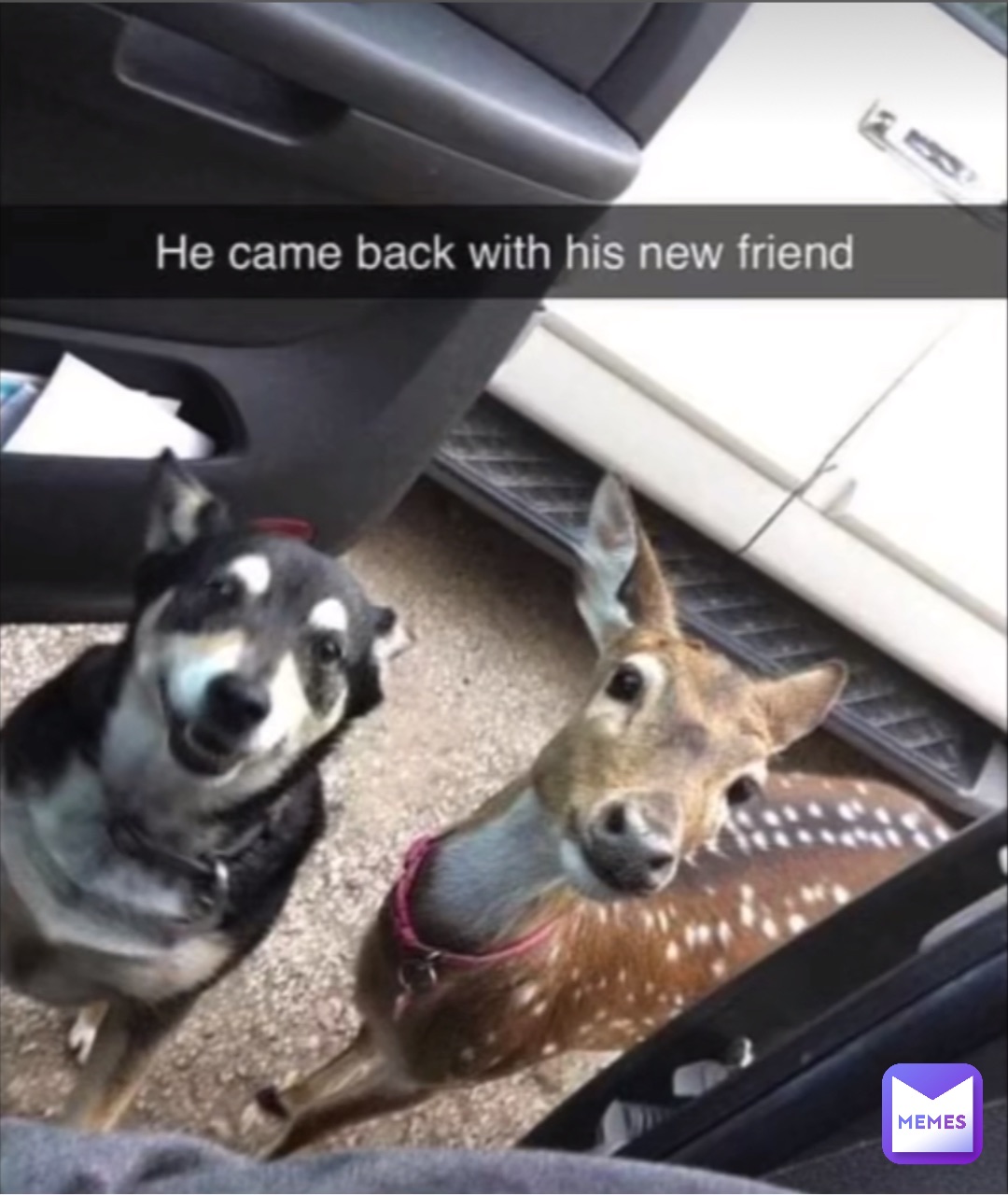 Meme by nothing_to_see