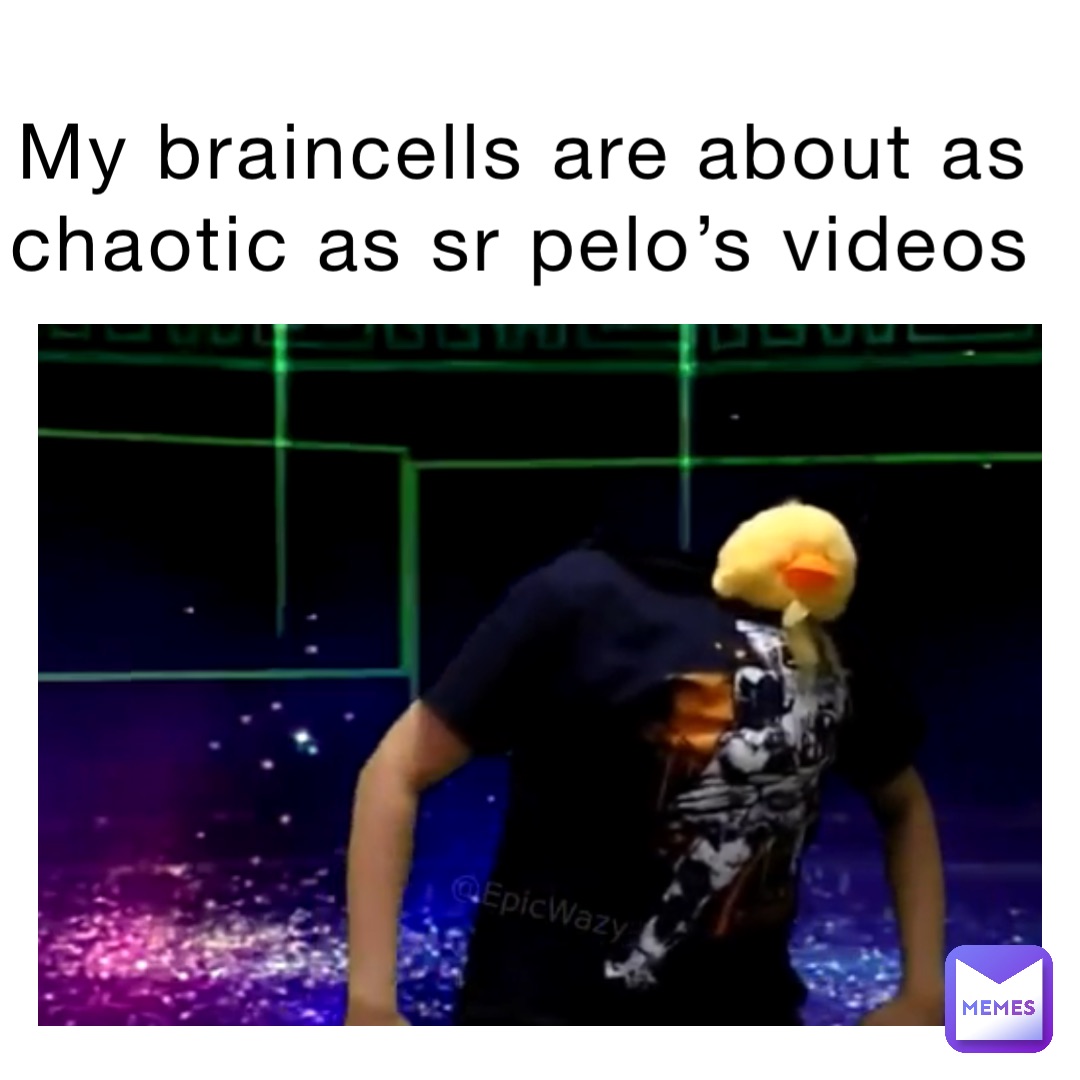 My braincells are about as chaotic as sr pelo’s videos
