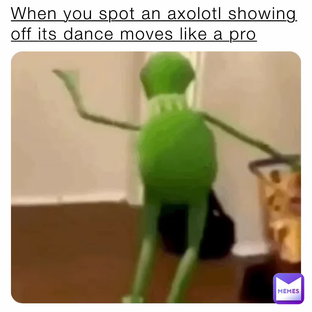 😼