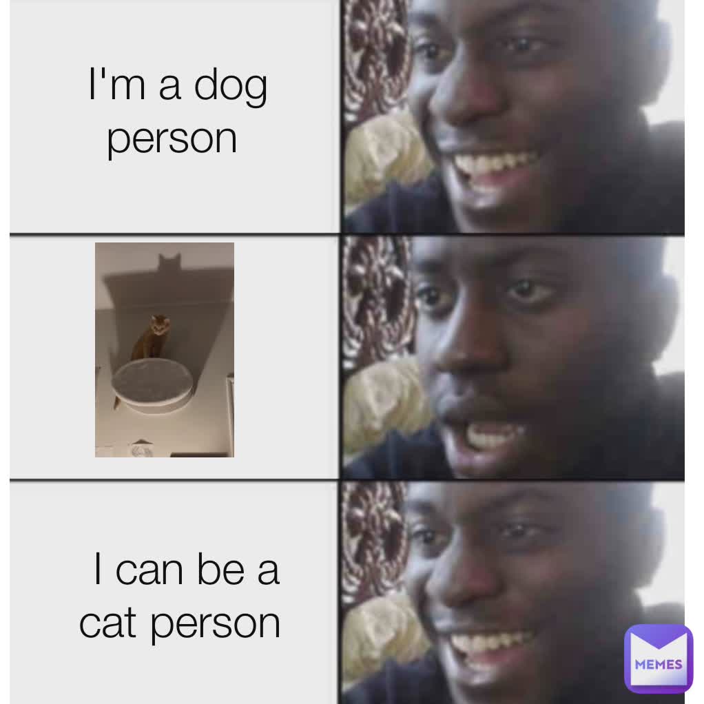 I'm a dog person  I can be a cat person 