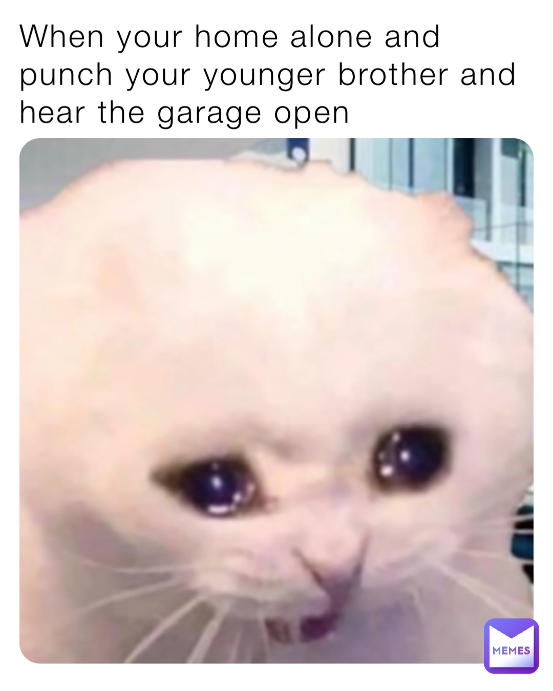 Meme by ThatweirdoTerence